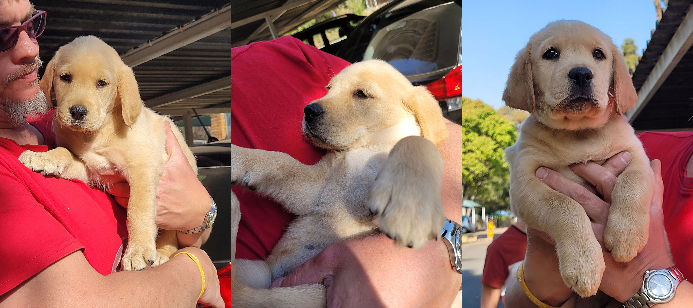 Pictures of Aimy at 7 weeks